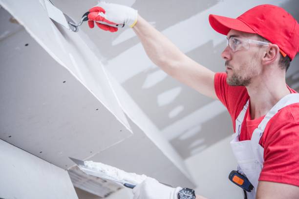 Best Drywall Patching  in USA